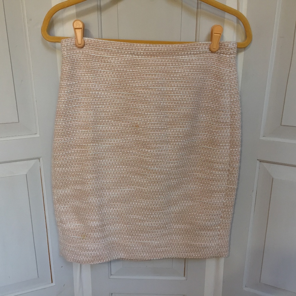 J. Crew Mini Skirt w/ Sparkle